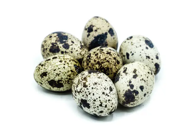 Quail egg isolated on white background