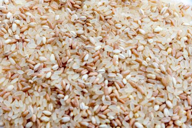 istock Mixture of Spelled Rice and Barley 1282734490