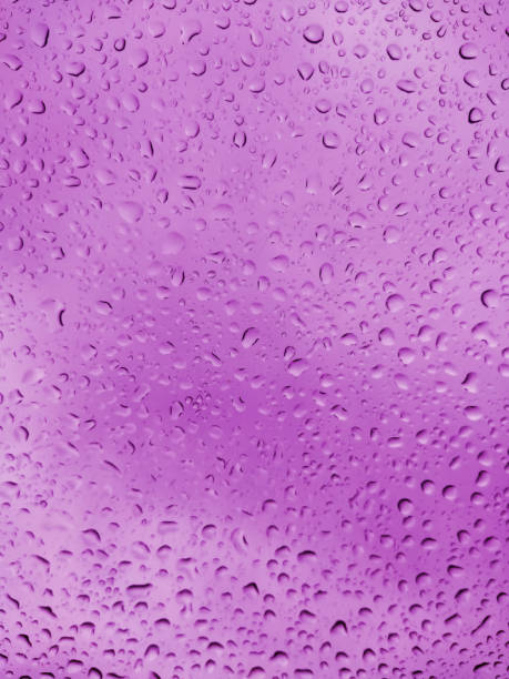 istock Abstract background with purple drops on the glass window. 1282734569