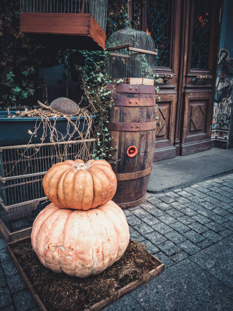 istock Festive decoration for Halloween. Decor of birds, cages, pumpkins, plants. Dark theme. 1282735708