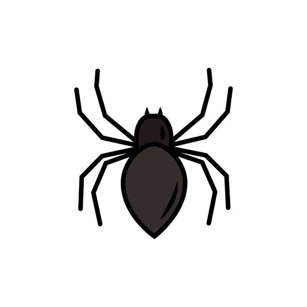 istock Vector cartoon spider isolated on white background. Insect with eight legs for Halloween design 1282738816