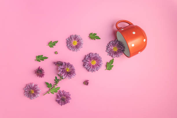 istock Creative layout made of coffee or tea red with dots cup with pink chrysanthemums on pink background, flat lay 1282739896