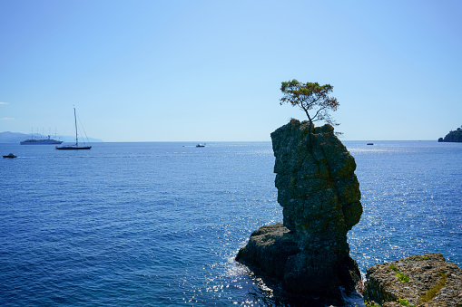 Portofino natural regional park. Lonely pine tree rock and coastal cliff beach.