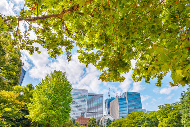 istock Fresh green trees and buildings in Tokyo 1282743845