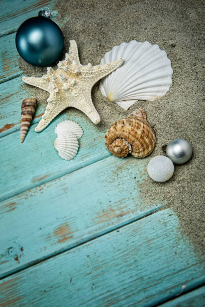 istock Christmas Seashells in the Sand on blue wood background 1282743927