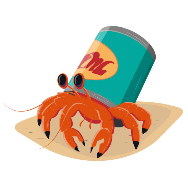 funny cartoon hermit crab in a can funny cartoon hermit crab in a can hermit crab stock illustrations