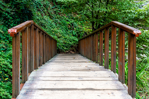 Wooden bridge and stairs in the woodland in Turkey.