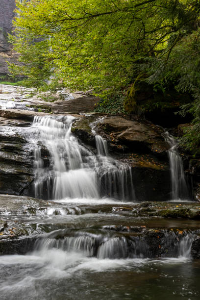 istock The waterfall flowing through the rocks in forest 1282747802