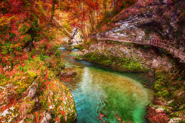 istock Vintgar gorge, Slovenia 1282748680