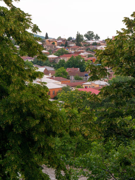 istock View through trees on the old town in Georgia mountains 1282752400