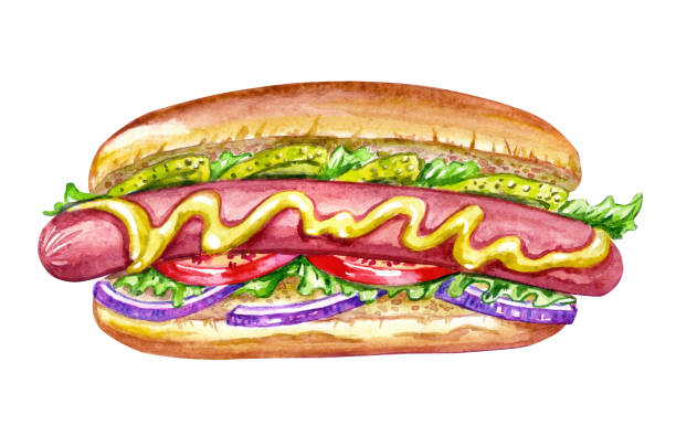 köstliche appetitliche hot dog - illustration and painting sandwich hungry beef stock-grafiken, -clipart, -cartoons und -symbole