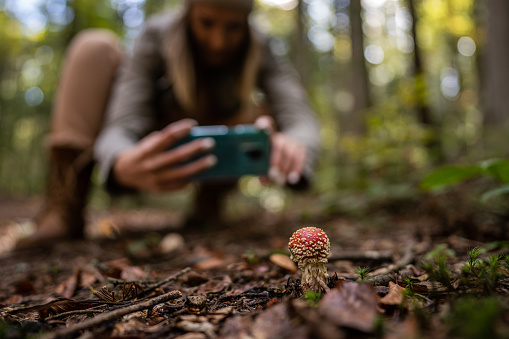 Young woman crouching in forest and taking picture of wild mushroom with mobile phone, mushroom in focus, woman blurred in background