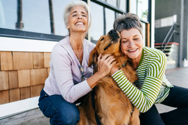 istock Senior friends walking dog together 1282756179