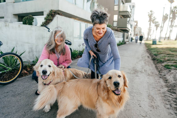 istock Active senior women enjoying the day 1282756189