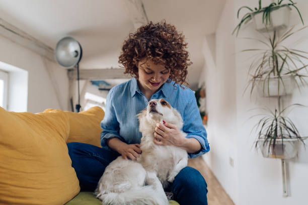 istock Girl cuddling her dog on the sofa 1282756228