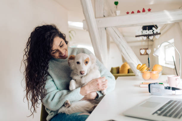 istock Young woman cuddling her dog 1282756239