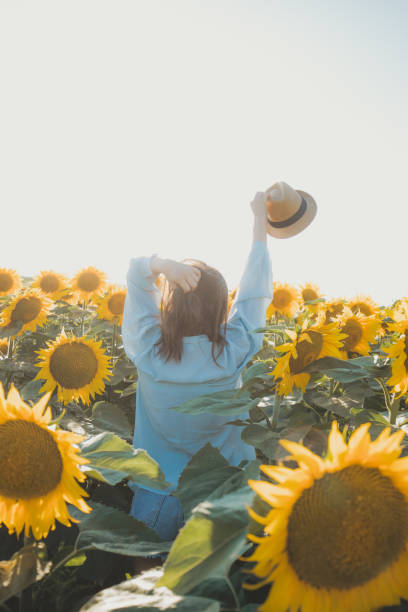 istock Greeting the sunflowers 1282756283