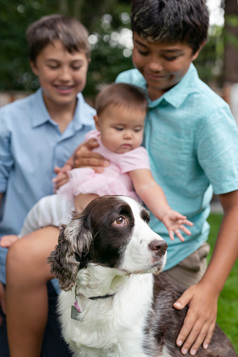 Two mixed race Pacific Islander boys pet their well behaved pet dog outside in the backyard while holding their baby sister.