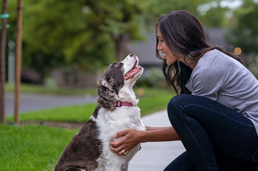 A beautiful Eurasian woman is kneeling down to pet her dog on the sidewalk in a beautiful suburban neighborhood. Pet adoption and emotional support mental health animal concepts.