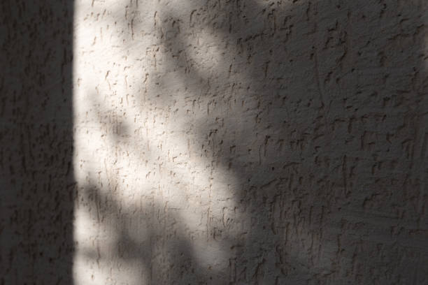 istock abstract shadow of the leaves on a white wall background 1282758464
