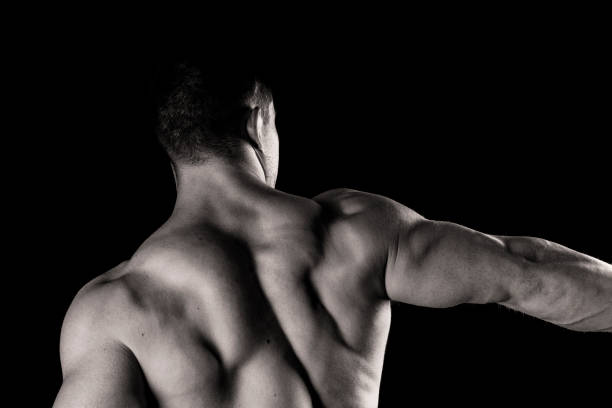 muscular back detail - men macho flexing muscles shirtless stock-fotos und bilder
