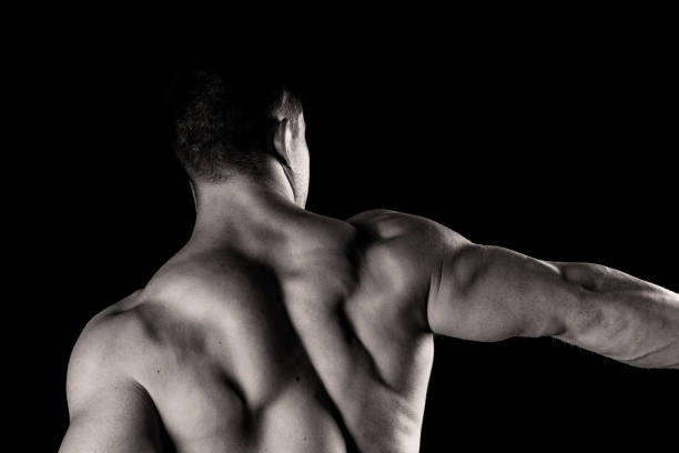 detalhes musculares das costas - human muscle body building exercising black and white - fotografias e filmes do acervo