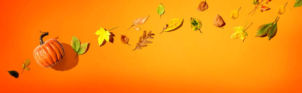 istock Autumn pumpkin with colorful leaves overhead view 1282759893
