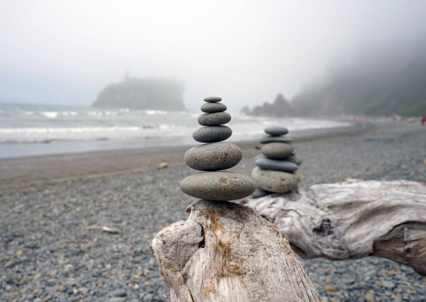 Tree trunk on Driftwood Beach, Waterton Lakes National Park, Alberta, Canada.