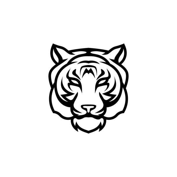 ilustrações de stock, clip art, desenhos animados e ícones de tiger head vector on white background - anger feline animal black