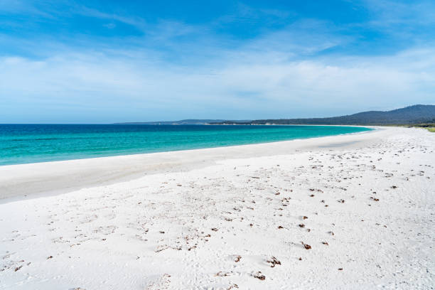 istock Taylors Beach at Fires Conservation Area, Tasmania, Australia 1282768452