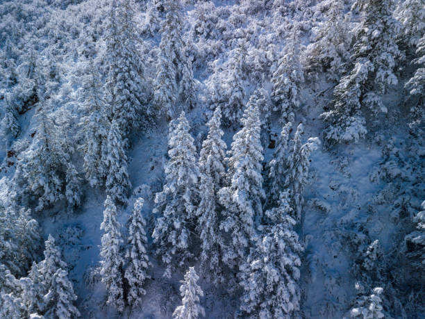 istock Snowy Canyon with Fresh Snow Winter Landscape 1282768737