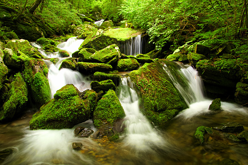 waterfall in forest, beautiful photo digital picture