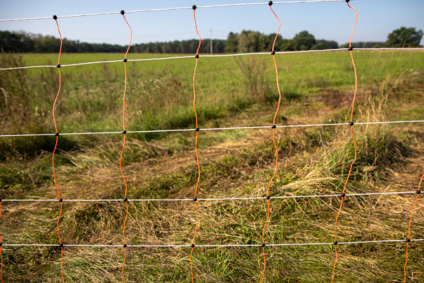 istock Field viewed through electric fence 1282779982