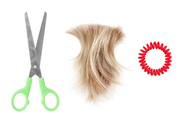 Blond hair lock, metal scissors, scrunchy white background isolated closeup, cut off blonde hair curl, steel shears, spiral hair band barrette, hairstyle accessory set, haircut, barber, hairdo concept bloqueo de pelo rubio, tijeras de metal, fondo blanco escurrido de primer plano aislado, rizo de pelo rubio cortado, tijeras de acero, banda de pelo espiral barrette, conjunto de accesorios de peinado, corte de pelo, peluquero, concepto de peinado