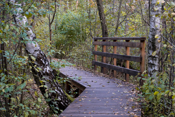 istock A wooden track on a touristic trail 1282785886