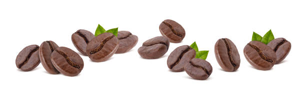 istock Roasted coffee beans with coffee leaves studio shot isolated on white background long banner, Healthy products by organic natural ingredients concept 1282786139