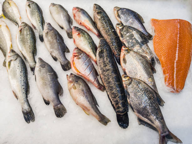 istock Fresh fish for sale in a seafood shop 1282790367