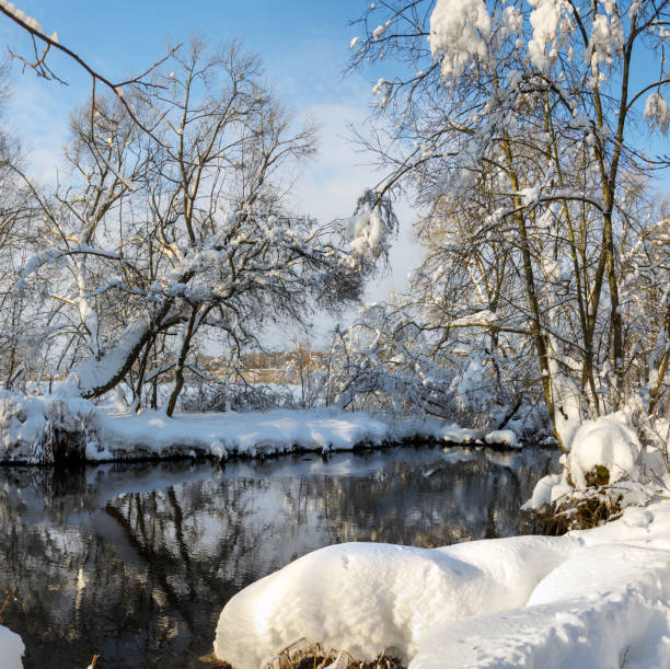 istock Frosty scene with flowing forest river on a sunny morning. 1282791185