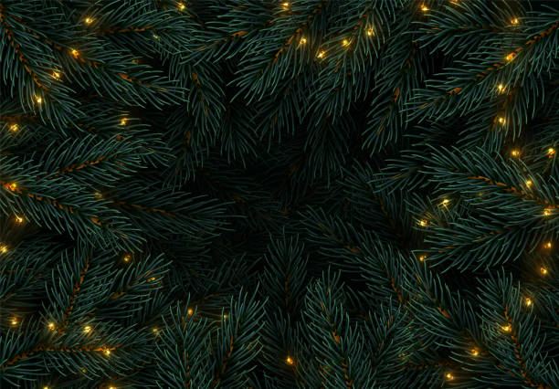 ilustrações de stock, clip art, desenhos animados e ícones de christmas tree branches. festive xmas border of green branch of pine. pattern pine branches, spruce branch. glowing new year golden garland, space for text. realistic design decoration elements. - christmas winter close up table