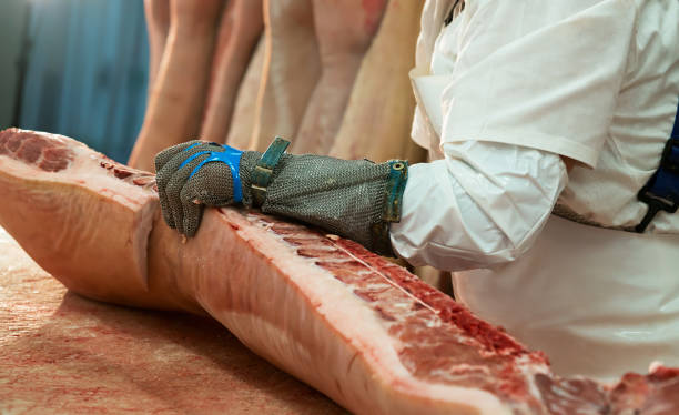 Butcher cuts freshly slaughtered meat of pork for sale and further processing as sausage