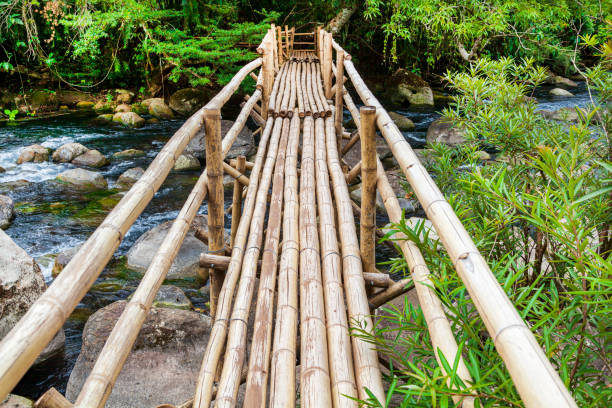 Bamboo bridge over the river in Unknown source "Mooc Spring Eco Trail", Phong Nha National Park, Vietnam Bamboo bridge over the river in Unknown source "Mooc Spring Eco Trail", Phong Nha National Park, Vietnam bamboo bridge stock pictures, royalty-free photos & images