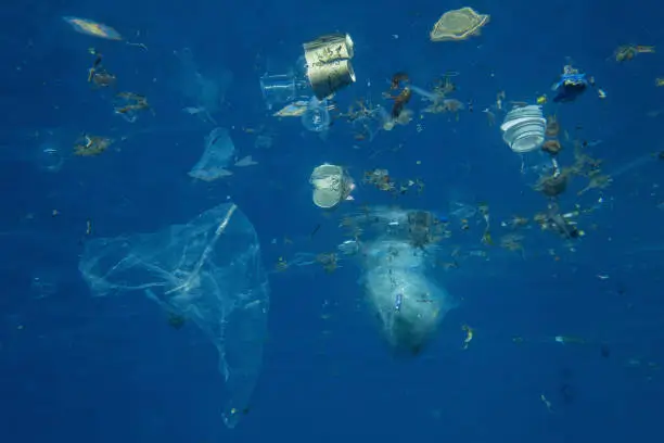 Photo of Plastic and other debris floats underwater in blue water. Plastic garbage polluting seas and ocean