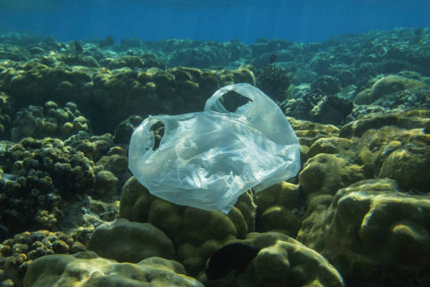 istock Used white plastic bag slowly drifting underwater over coral reef in the sun lights.  Plastic debris underwater. Plastic garbage environmental pollution problem 1282796448