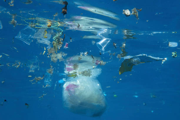 istock Plastic and other debris floats underwater in blue water. Plastic garbage polluting seas and ocean 1282796452