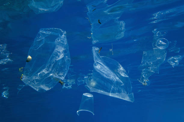 istock Plastic and other debris floats underwater in blue water. Plastic garbage polluting seas and ocean 1282796469