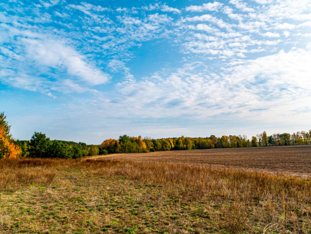 istock A plowed agricultural field against the cloudy skyline. 1282801608