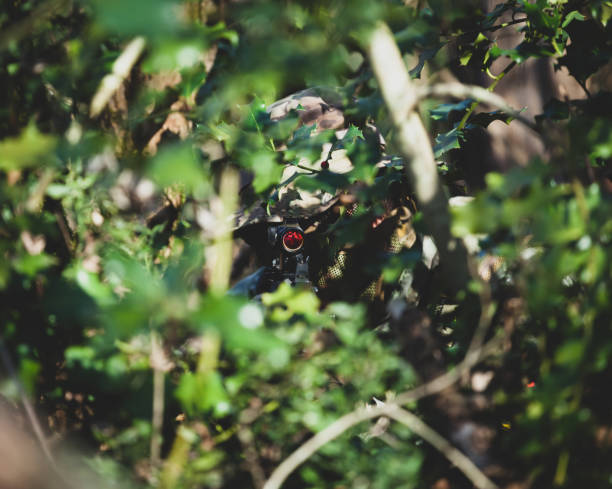 istock Soldier With Weapon Amidst Trees 1282802947