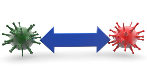istock Concept of two viruses and arrow 1282803819