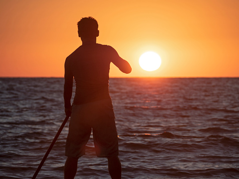 Silhouette of active man rowing with paddle on SUP at sun background
