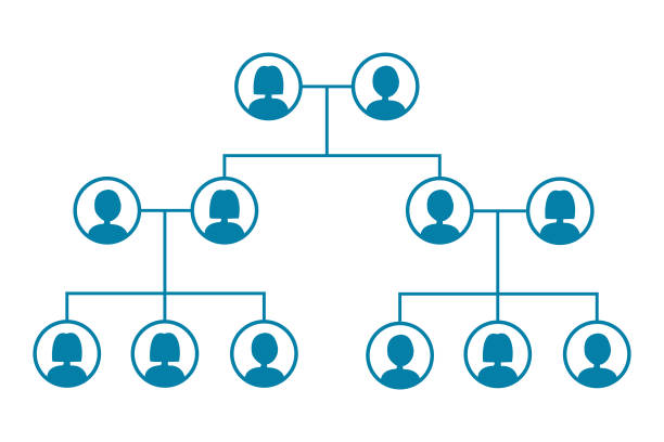 가계도는 흰색 배경에 분리되어 있습니다. - 가계도 stock illustrations